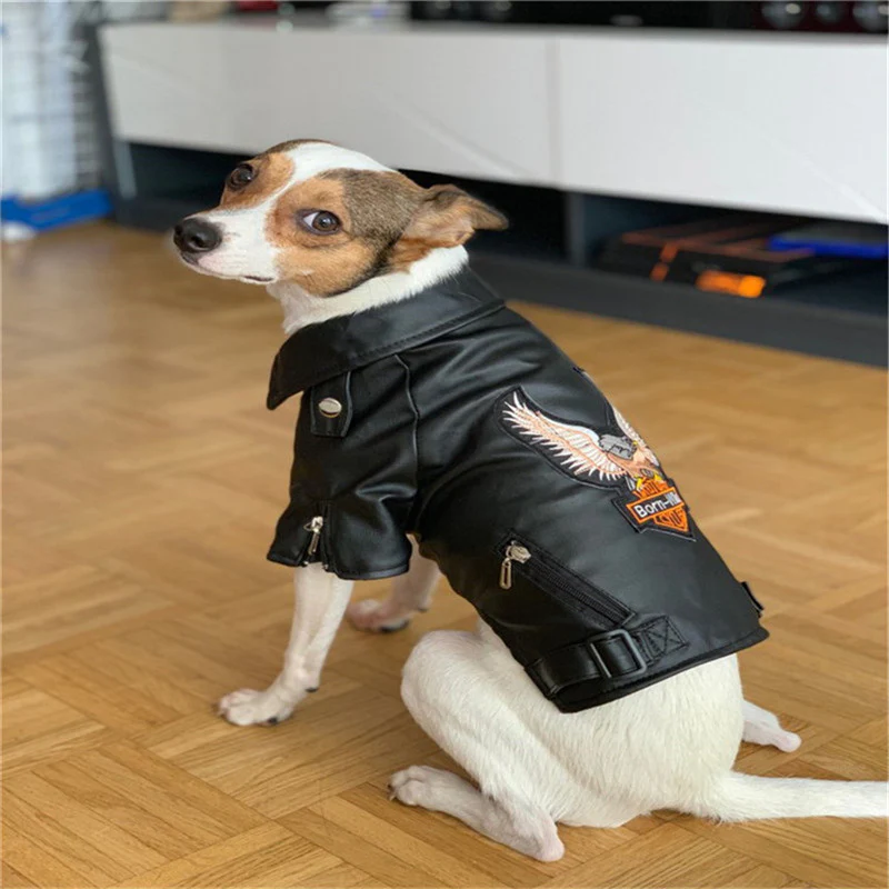 Manteau pour chien style motard