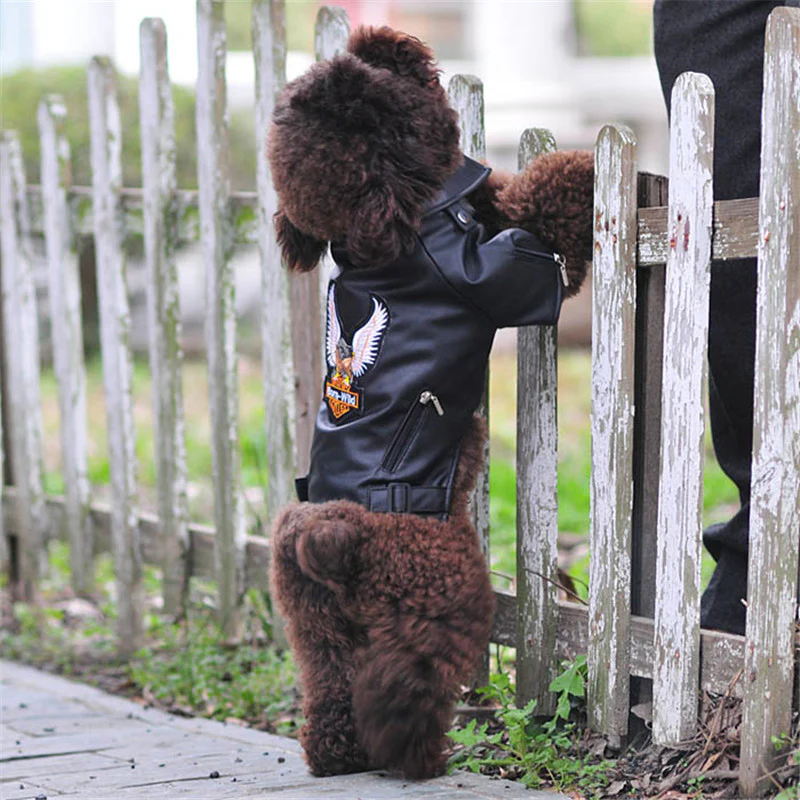 Manteau pour chien style motard – Image 2