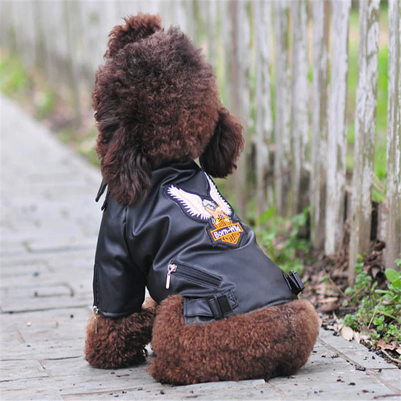 Manteau pour chien style motard – Image 4